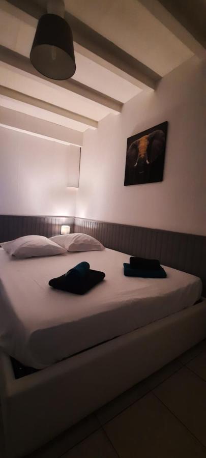 Le Telly-Centre Ville-Petits Prix-Ideal Pour Rayonner Sur La Ville Carcassonne Zewnętrze zdjęcie